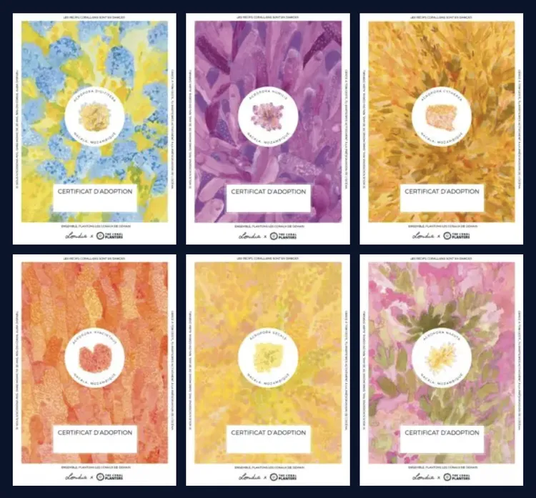 Certificat d'adoption